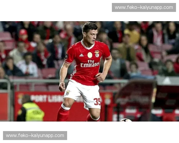 直播葡超：畅享葡萄牙足球的每一刻