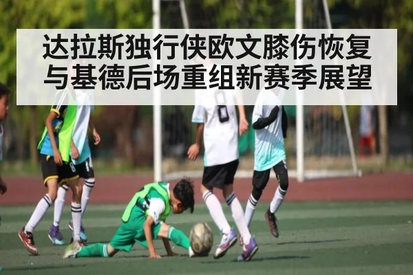 达拉斯独行侠欧文膝伤恢复与基德后场重组新赛季展望(manbetx)